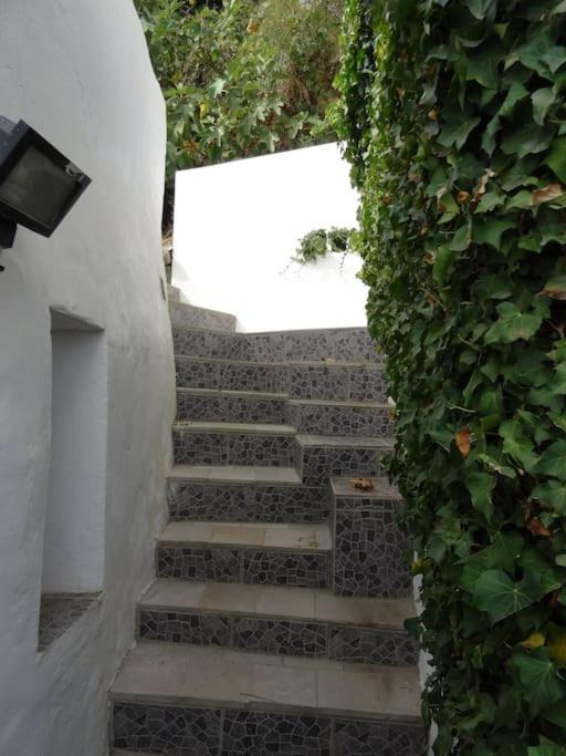 شقة Casa Da Marina ألخيزور المظهر الخارجي الصورة